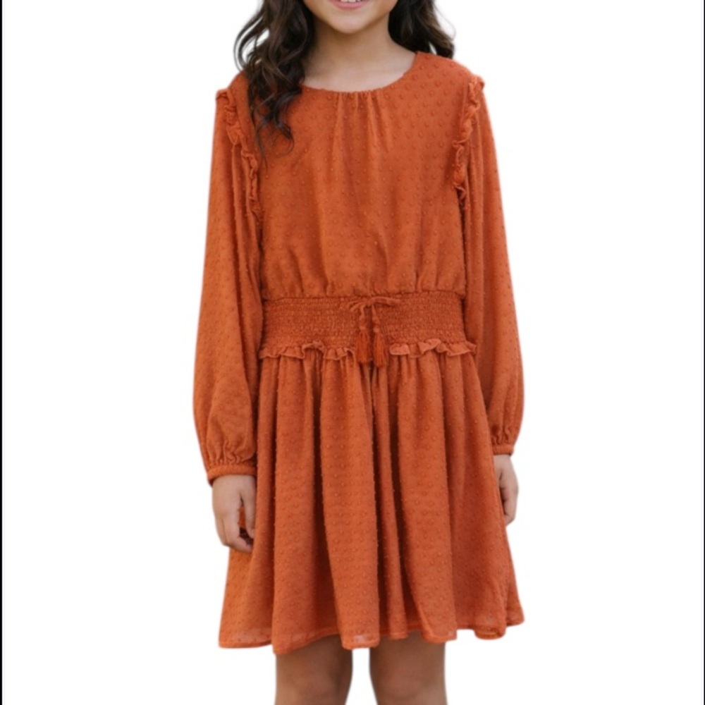Trende Girl burnt orange textured Swiss dot print long sleeve dress size 10